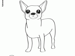 Chiguaga para colorear