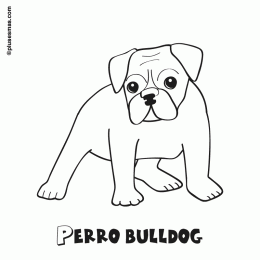 Colorear un perro bulldog