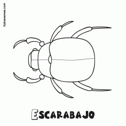 Colorear un escarabajo