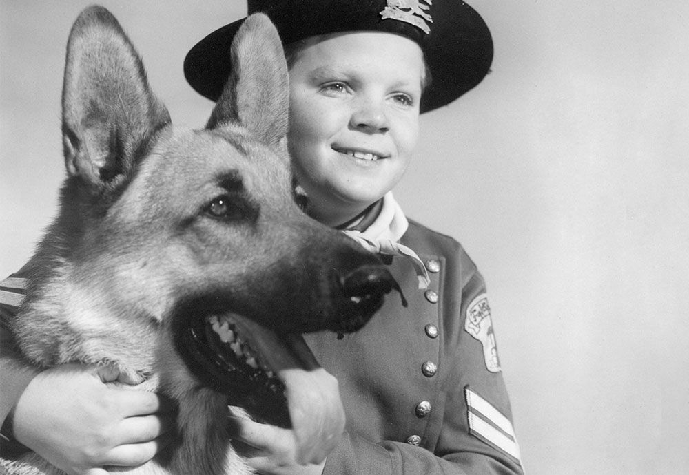 «Las aventuras de Rin Tin Tin»