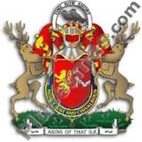 Escudo del apellido Akins