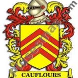 Escudo del apellido Cauflours