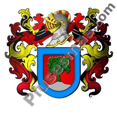 Escudo del apellido Amigo