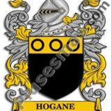 Escudo del apellido Hogane