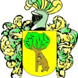 Escudo del apellido Miragaya