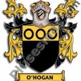 Escudo del apellido Ohogan
