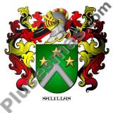 Escudo del apellido Salillas
