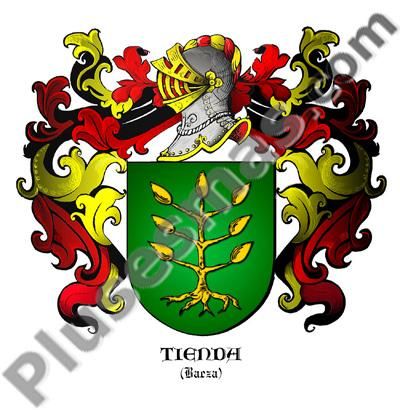 Escudo del apellido Tienda