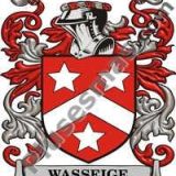 Escudo del apellido Wasseige