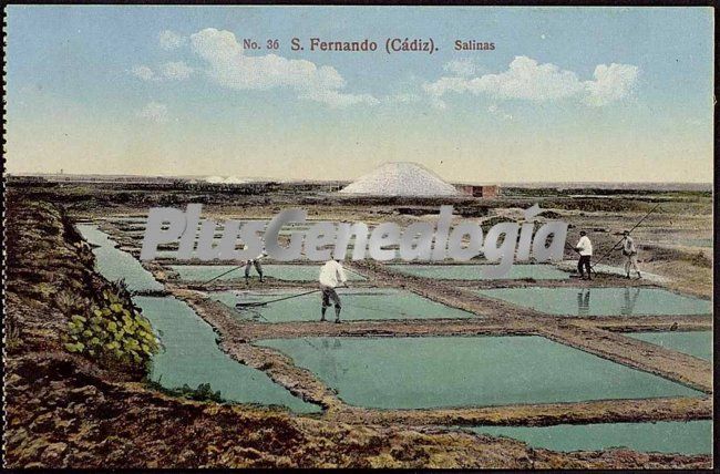 Salinas de san fernando