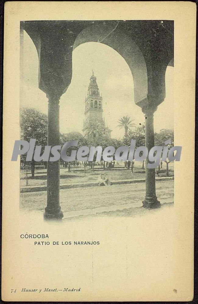 Patio de los naranjos de córdoba