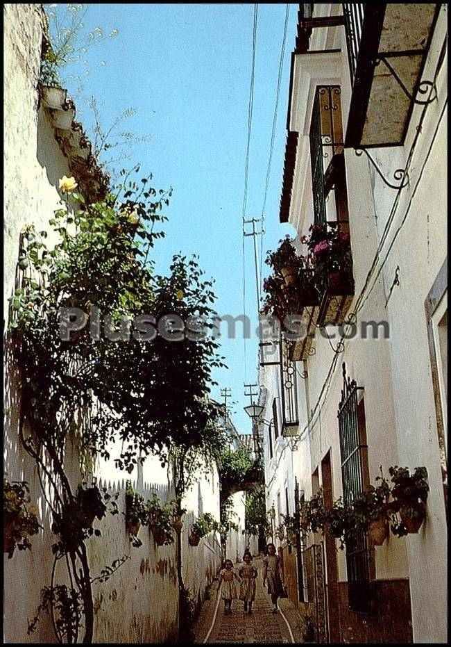Calle de las flores en la rambla (córdoba)