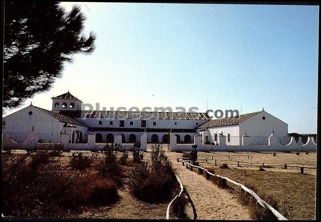 Parque nacional de doñana en el acebuche (huelva)