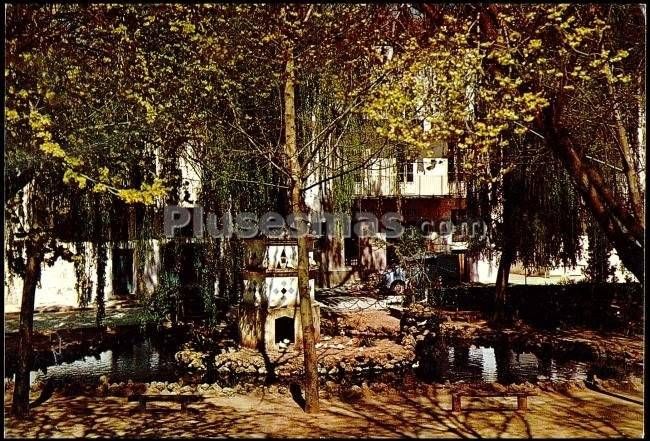 Estanque del parque municipal de beas de segura (jaén)