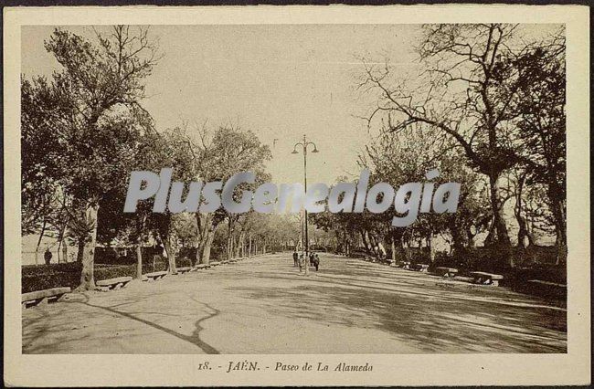 Paseo de la alameda de jaén