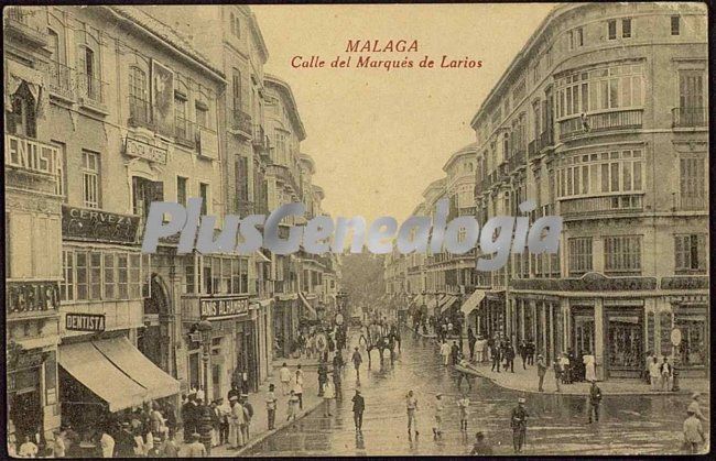 Calle del marqués de larios en málaga (blanco y negro)