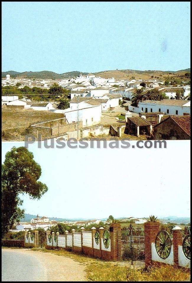 Motivos de las navas de la concepción (sevilla)
