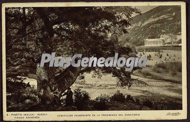 Foto antigua de PINETA