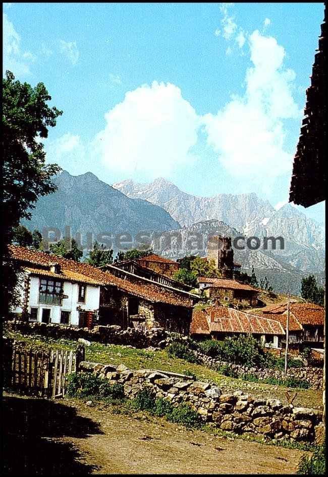 Mogrovejo (cantabria)