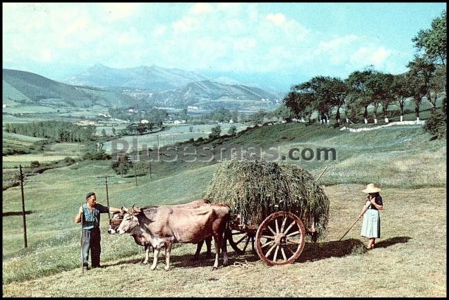 Paisaje montañés de santander (cantabria)