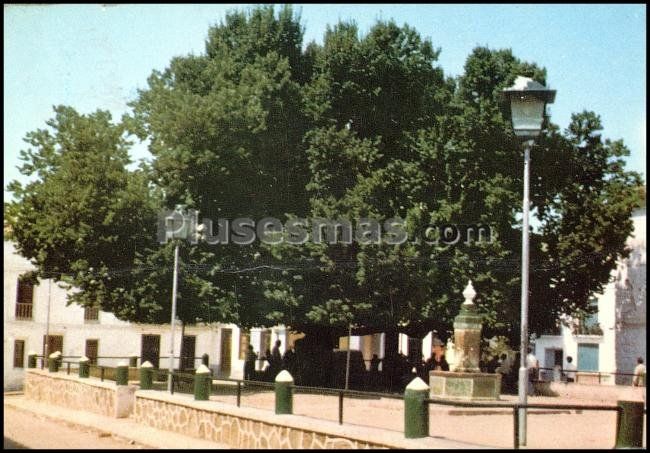 Albadalejo (ciudad real)