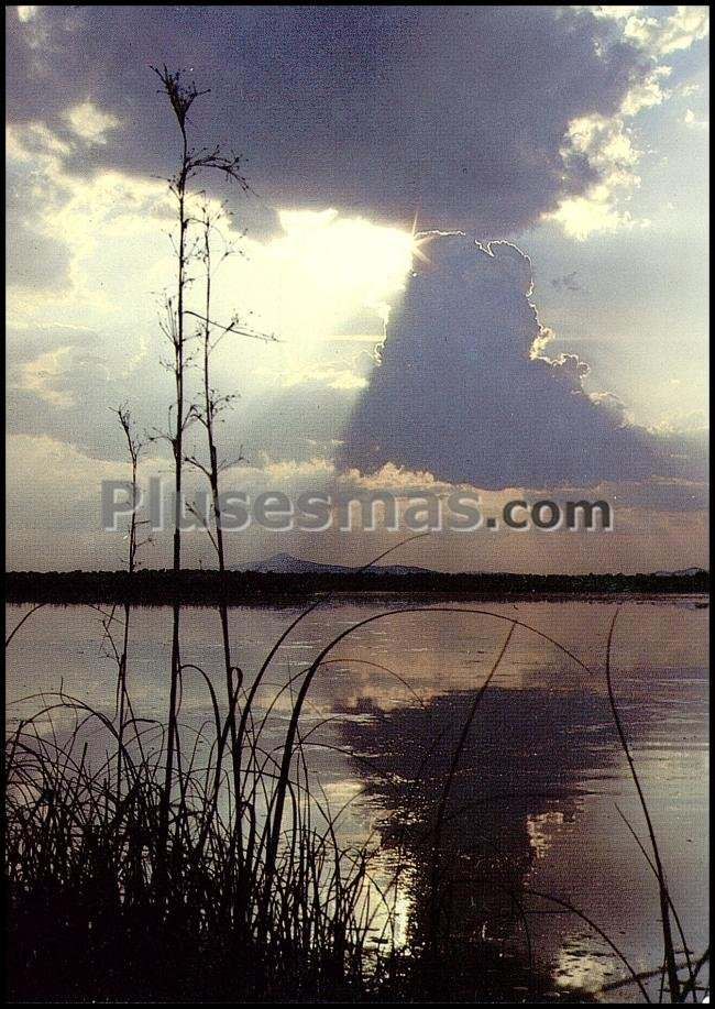 El tablazo. al fondo pico de malagón (ciudad real)
