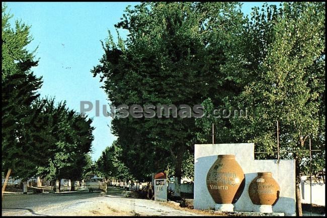 Entrada a la villa de villarta de san juan (ciudad real)