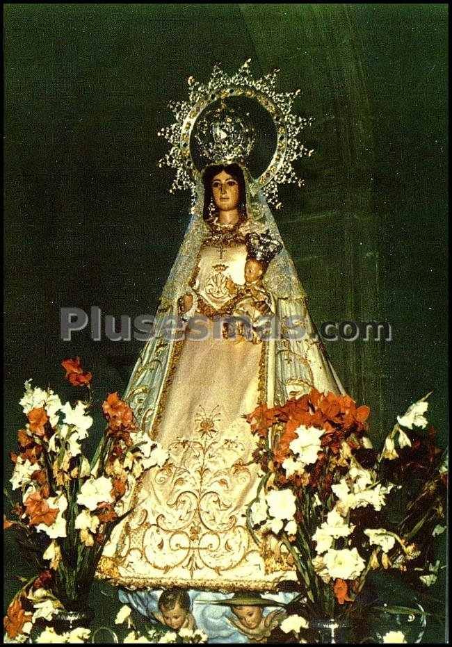Nuestra señora la reina de los angeles, patrona de pedroñeras (cuenca)