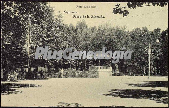 Paseo de la alameda de sigüenza (guadalajara)
