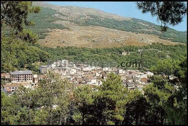Vista parcial desde el carril. valle del tietar. casillas (ávila)