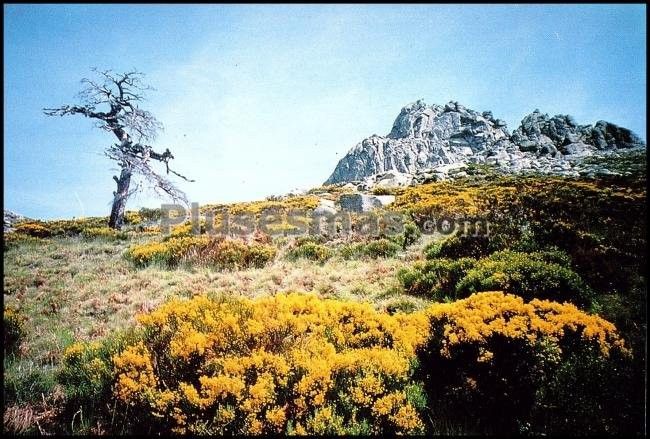 Sierra del arenal (ávila)