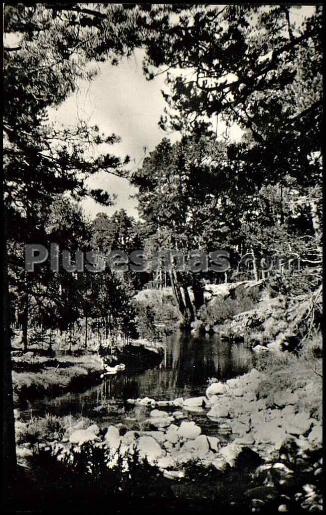 Presa del molino en el río tormes en navarredonda de la sierra (ávila)