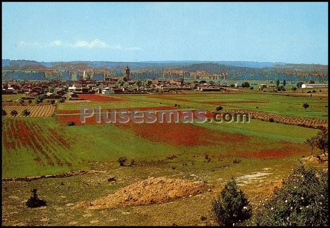 Vista panorámica de zazuar (burgos)