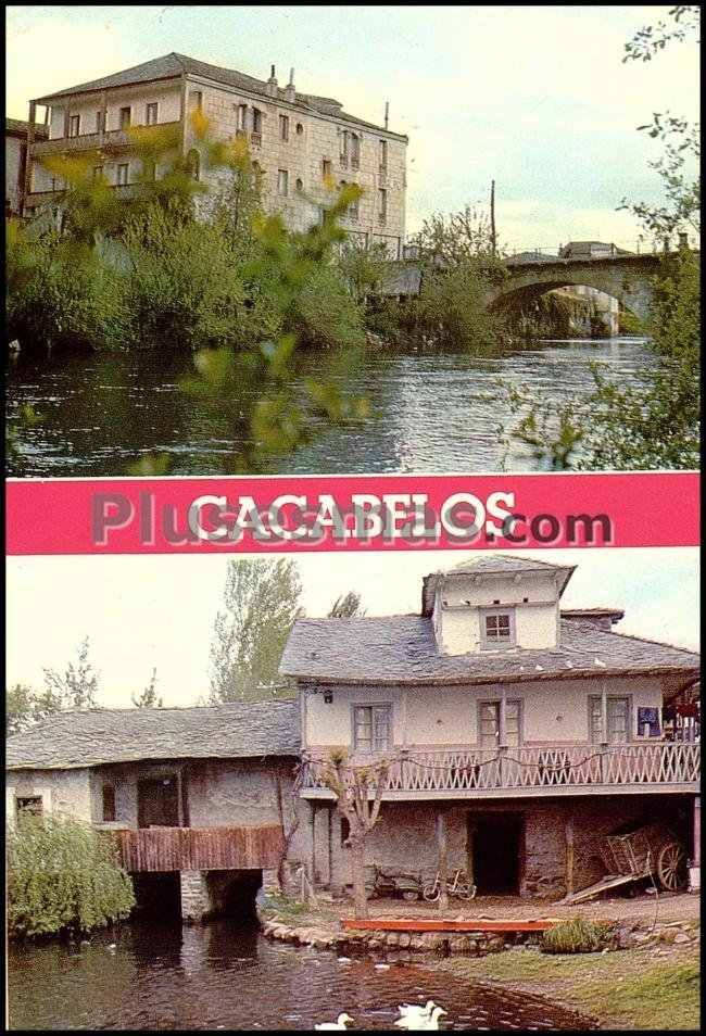 Detalles típicos de cacabelos (león)