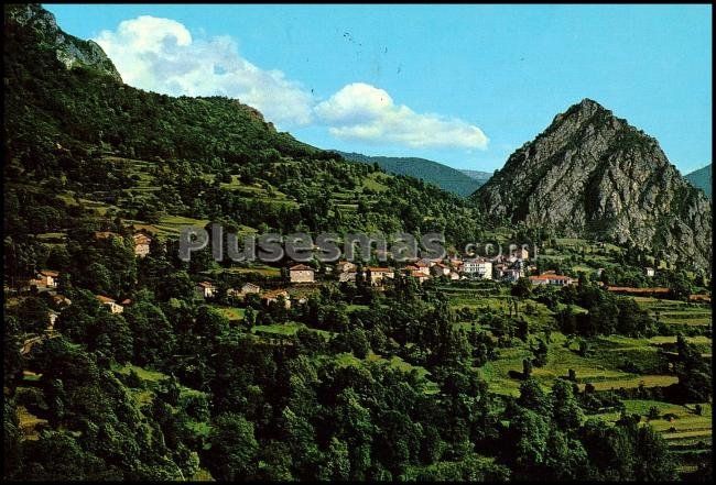 Vista general y pica de ten en oseja de sajambre (león)