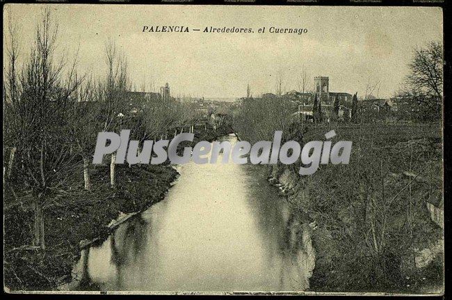 El cuernago en los alrededores de palencia