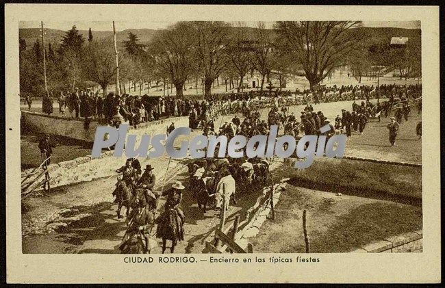 Encierro en las típicas fiestas de ciudad rodrigo (salamanca)