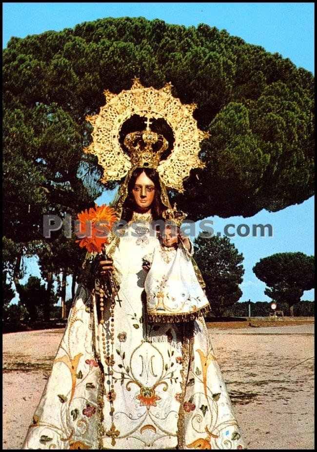 Nuestra señora virgen del pinarejo en aldeanueva del codonal (segovia)