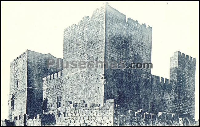 Castillo de encinas (valladolid)