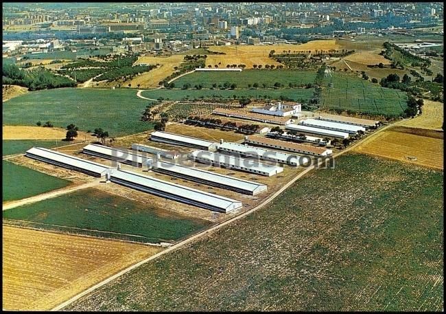 Granja en fuente del sol (valladolid)