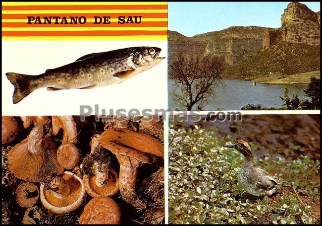 Pantano de Sau en Barcelona