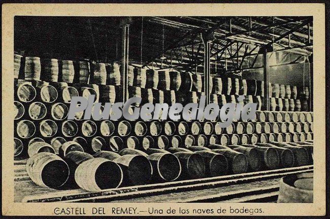 Una de las naves de bodegas de castell del remey (lleida)