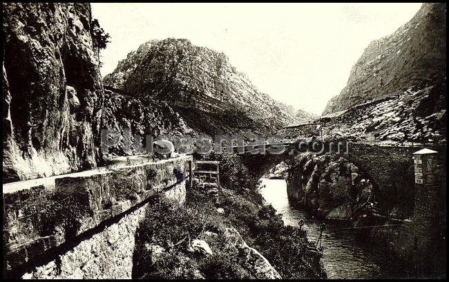 Pont de la torre en orgaña (lleida)