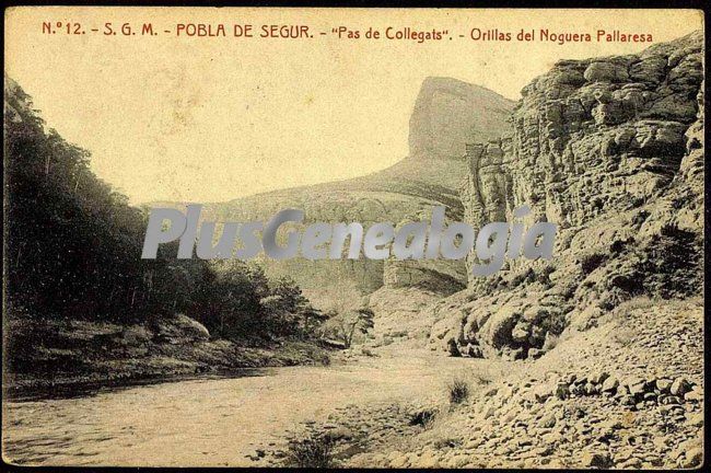 Orillas del noguera pallersa de pobla de segur (lleida)