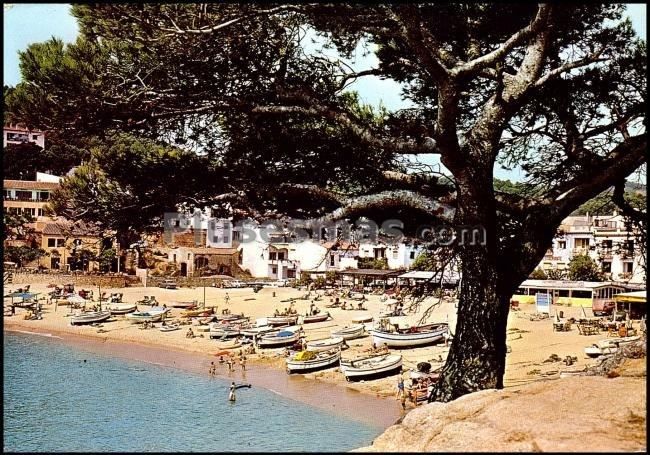 Vista parcial de tamariu (tarragona)