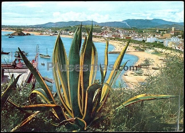 Un detalle de la costa de tarragona (tarragona)