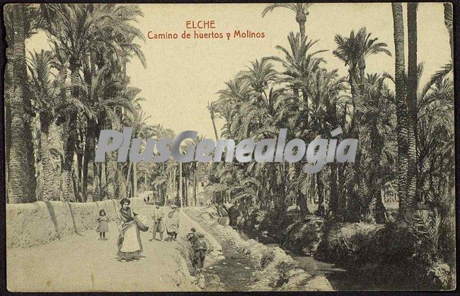 Camino de huertos y molinos, elche (alicante)