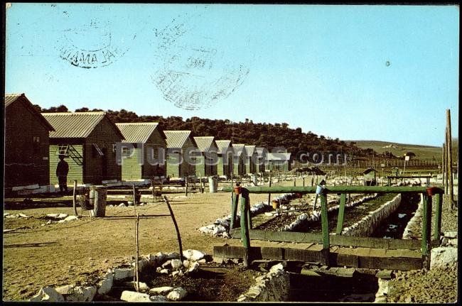 Santa ana - cir. vista del campamento (extremadura)