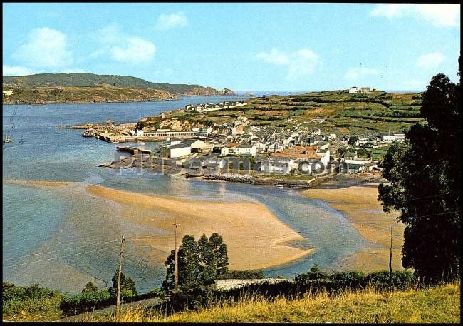 Cillero-vivero (lugo)