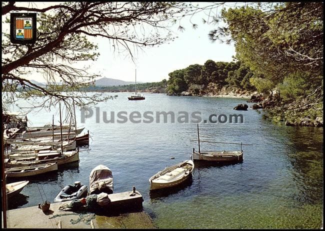 Costa de los pinos (mallorca)